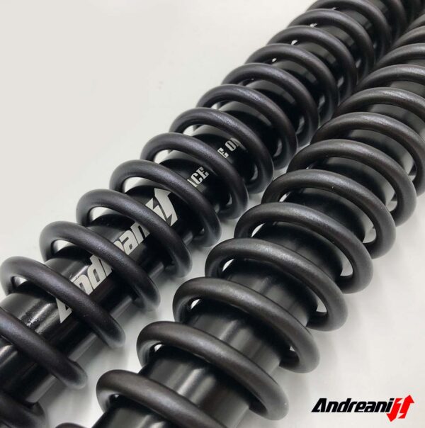 Andreani Misano EVO Justerbar Cartridge Kit  KTM 990 Adventure – 2009-11 – WP 48 - 2