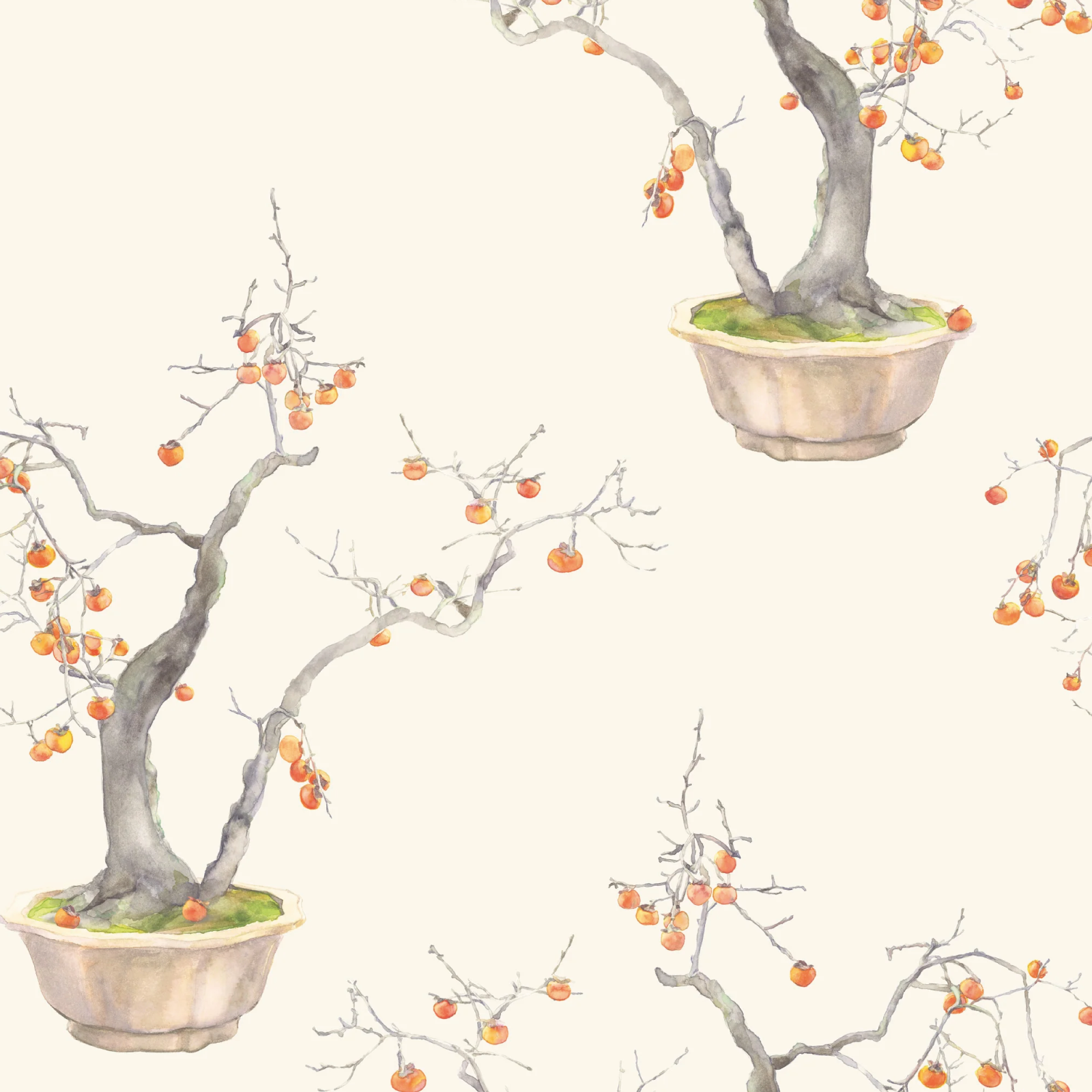 TAPET KAKI PERSIMMON, Ivory & Bergamot