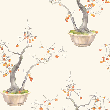 TAPET KAKI PERSIMMON, Ivory & Bergamot