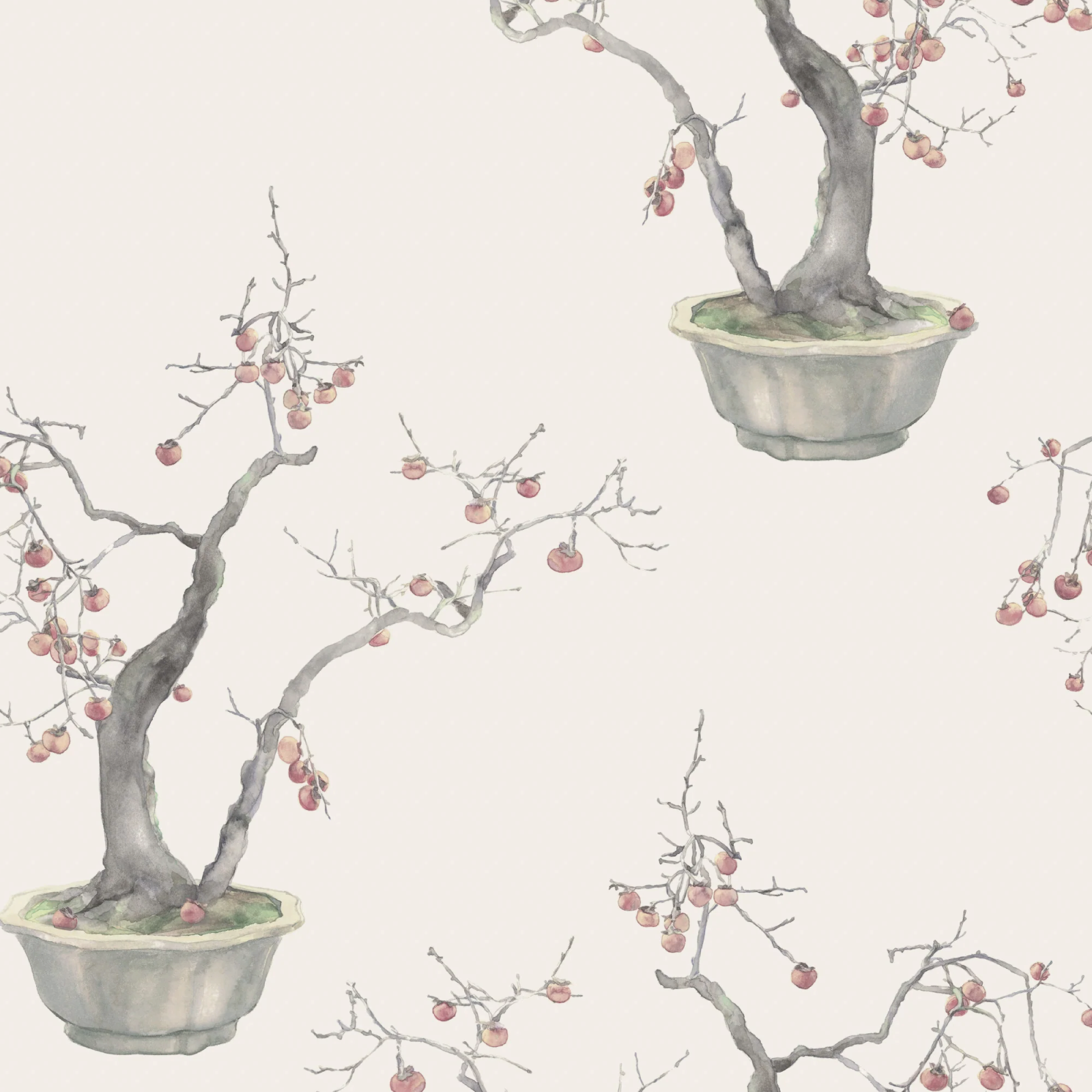 TAPET KAKI PERSIMMON, Silver