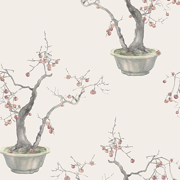 TAPET KAKI PERSIMMON, Silver