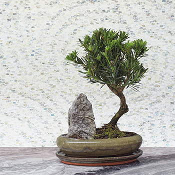 TAPET MEDITATION STONE, Stone