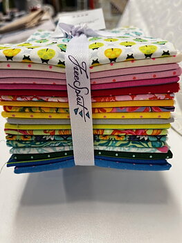 Tula Pink Tiny Coordinates  + Tiny Beasts Fat Quarter Glow
