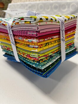 Tula Pink Tiny Coordinates  + Tiny Beasts Fat Quarter Glow