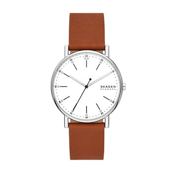 Skagen Signatur 40mm SKW6903
