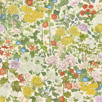 TAPET FLORA PROVINCE, Neutral