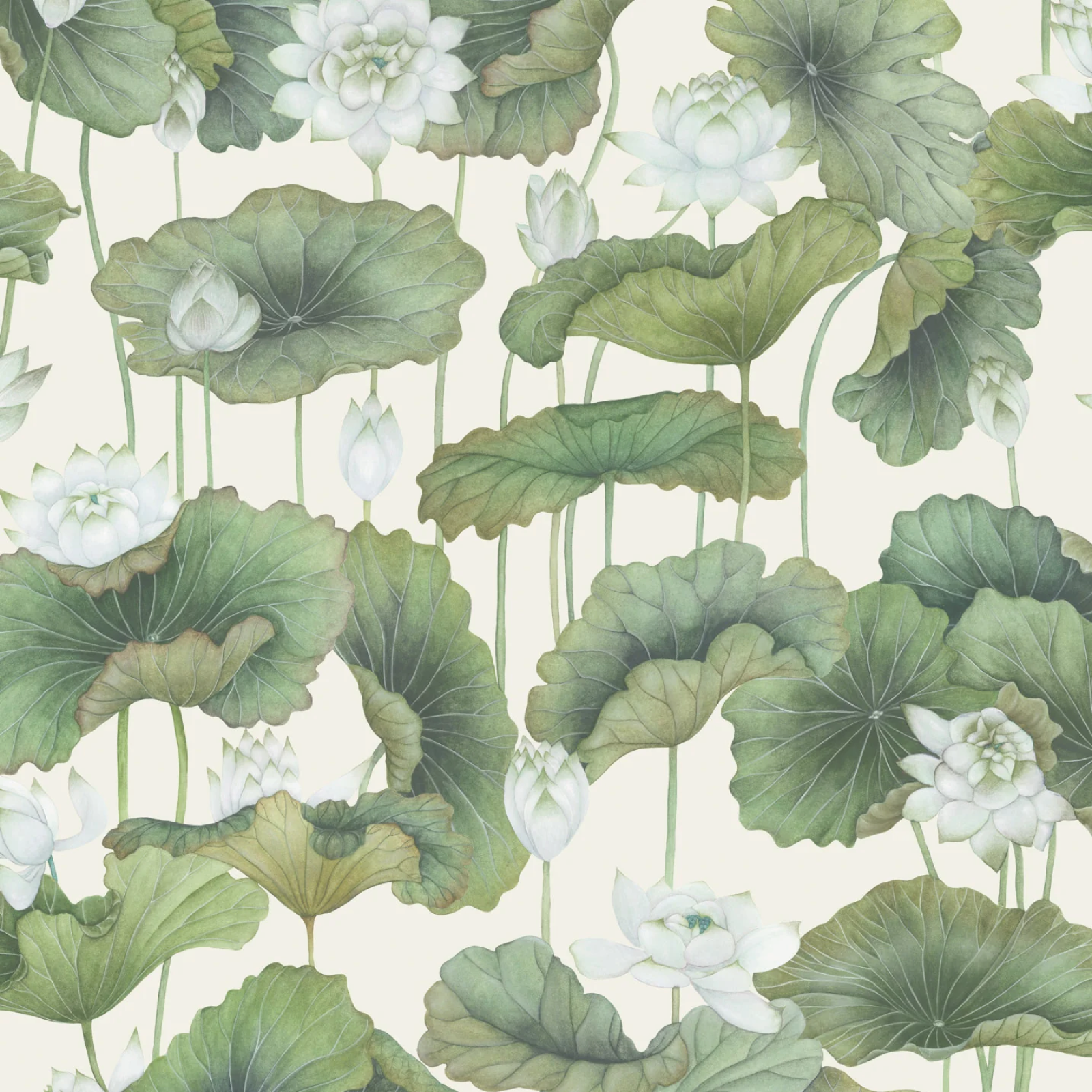 TAPET LILY LOTUS, White on Creme