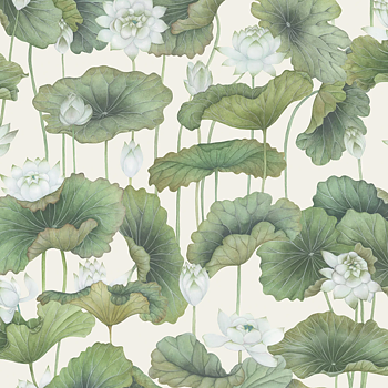 TAPET LILY LOTUS, White on Creme