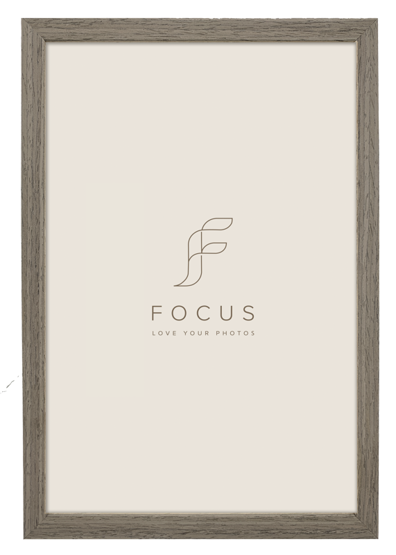 Focus  Grace Valnöt