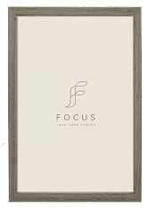 Focus  Grace Valnöt