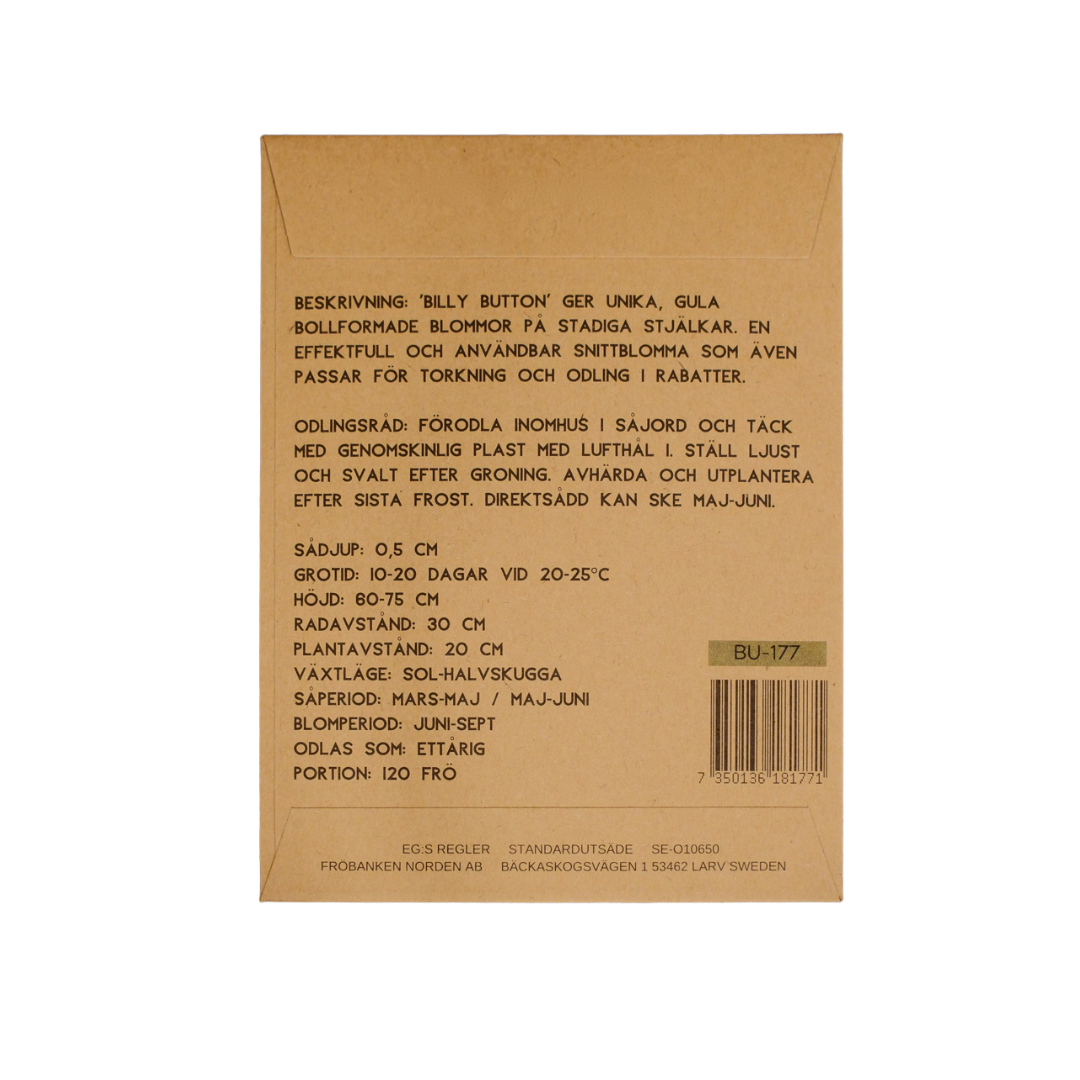 Solboll - Billy Button - 3