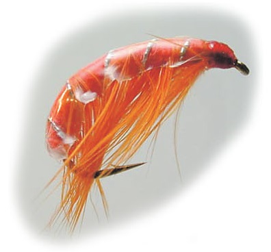 Streamer - Orange Orange
