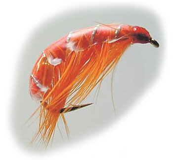 Streamer - Orange Orange