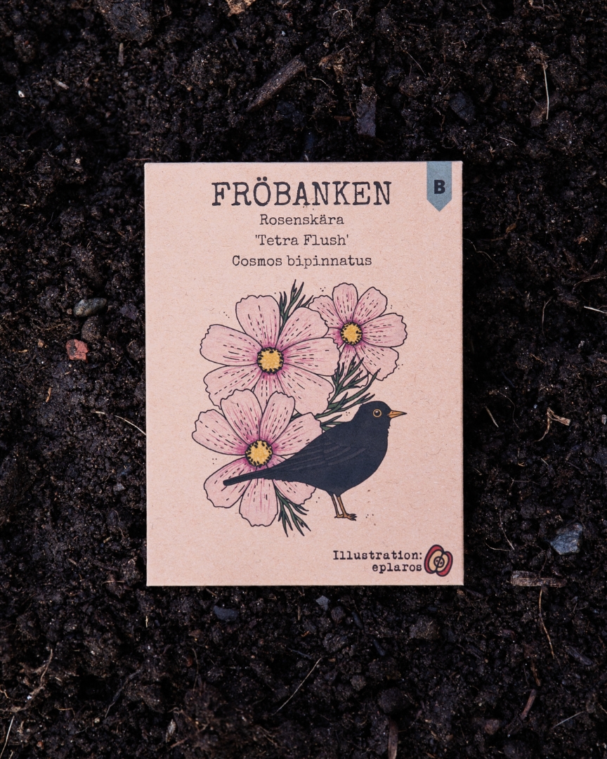 Rosenskära - Tetra Flush