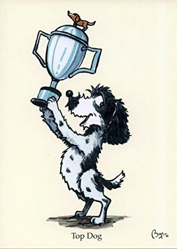 Cocker spaniel greeting card. Top Dog