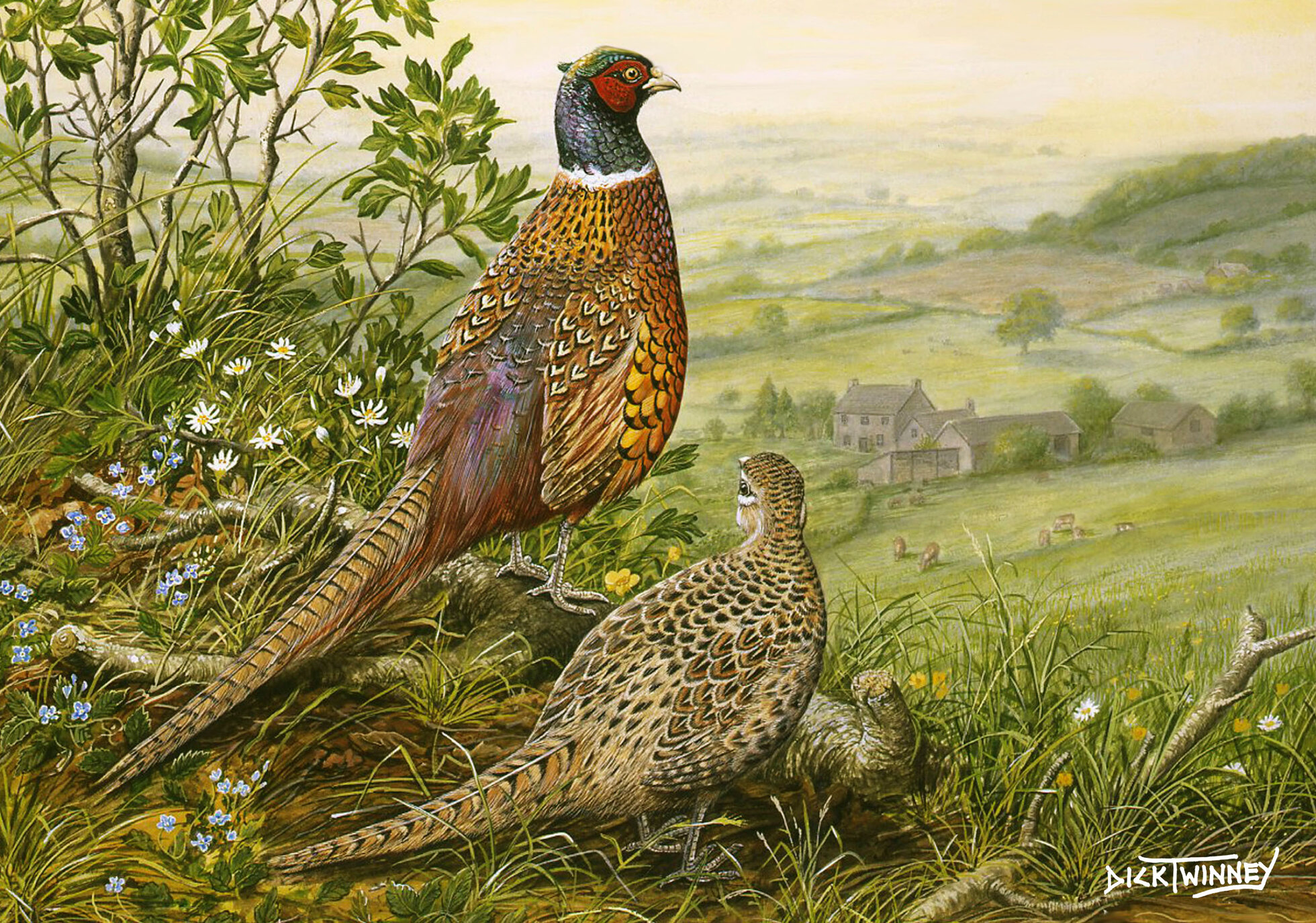 Edge of the Copse Greeting Card by Dick Twinney