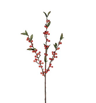 Bärkvist 60 cm
