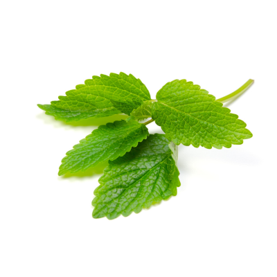 ÖRTKRYDDOR CITRONMELISS 50g