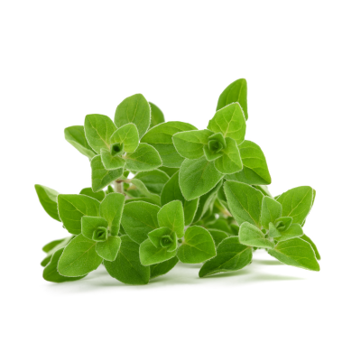 ÖRTKRYDDOR OREGANO 50g