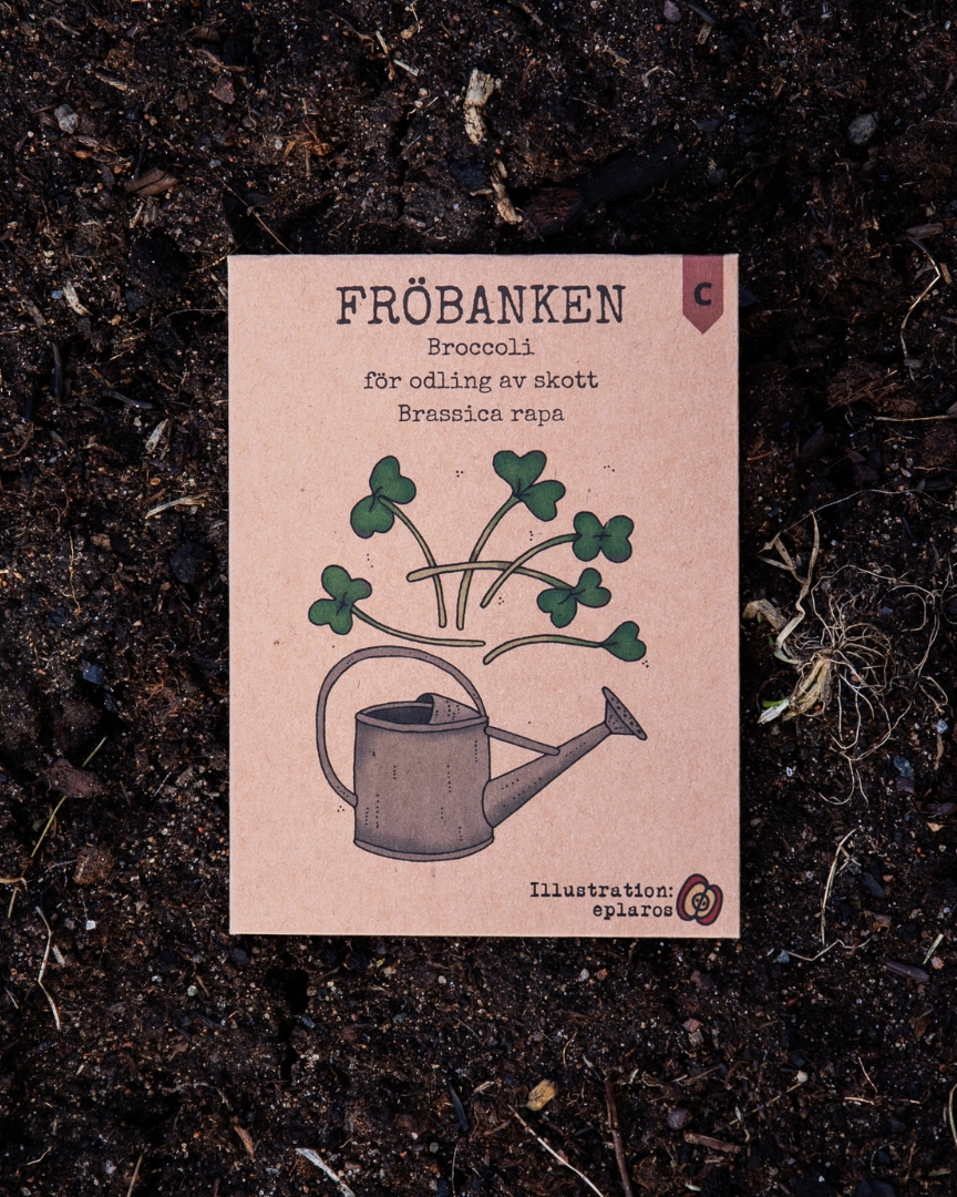 Broccoli för odling av skott