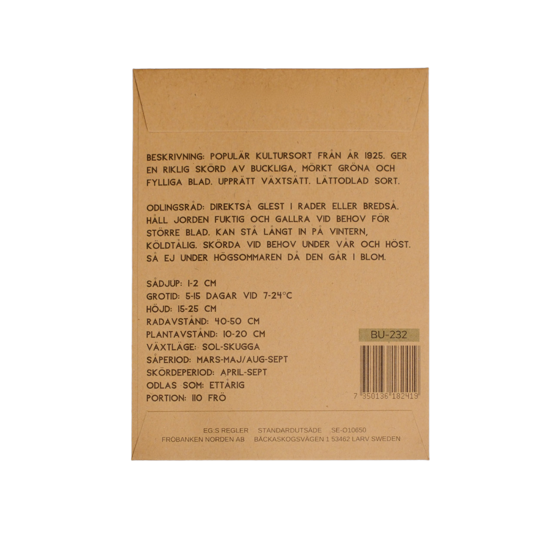 Ekologisk Spenat - Bloomsdale Long Standing