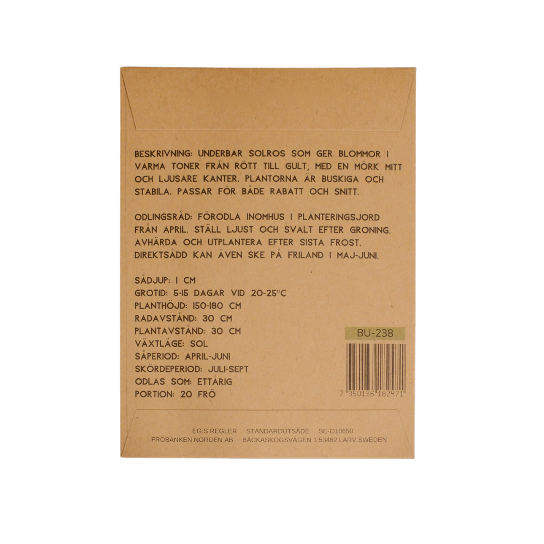 Ekologisk Solros - Red Sun - 2