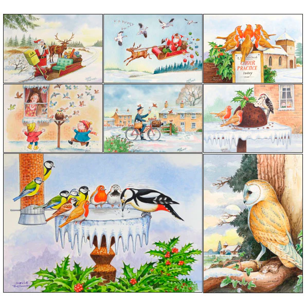 Cartoon Reindeer and Bird - By David Thelwell, 8-pack