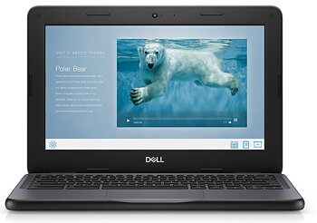 Dell Chromebook 3100 Intel Celeron/11.6"/64GB/4GB Begagnad i Nyskick - 6 Månader År Garanti