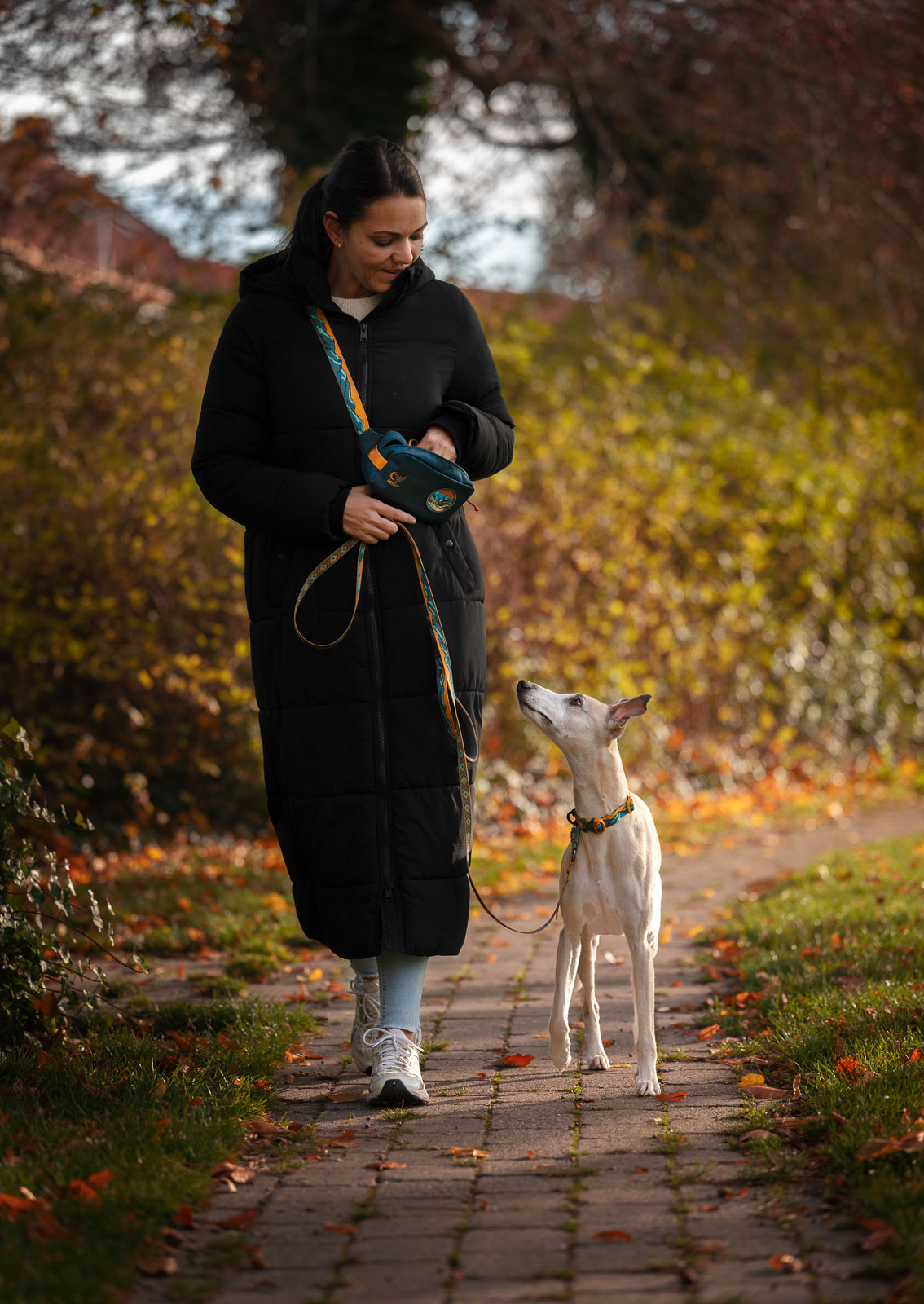 Non-Stop Dogwear Trail Quest Fanny Pack Rachel Pohl - Teal/Oak - Pockets