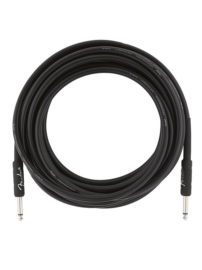 Fender Professional Series instrument series 3m - 2