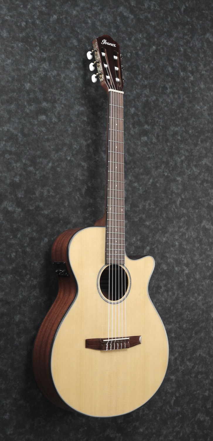 Ibanez AEG50N-NT - 4
