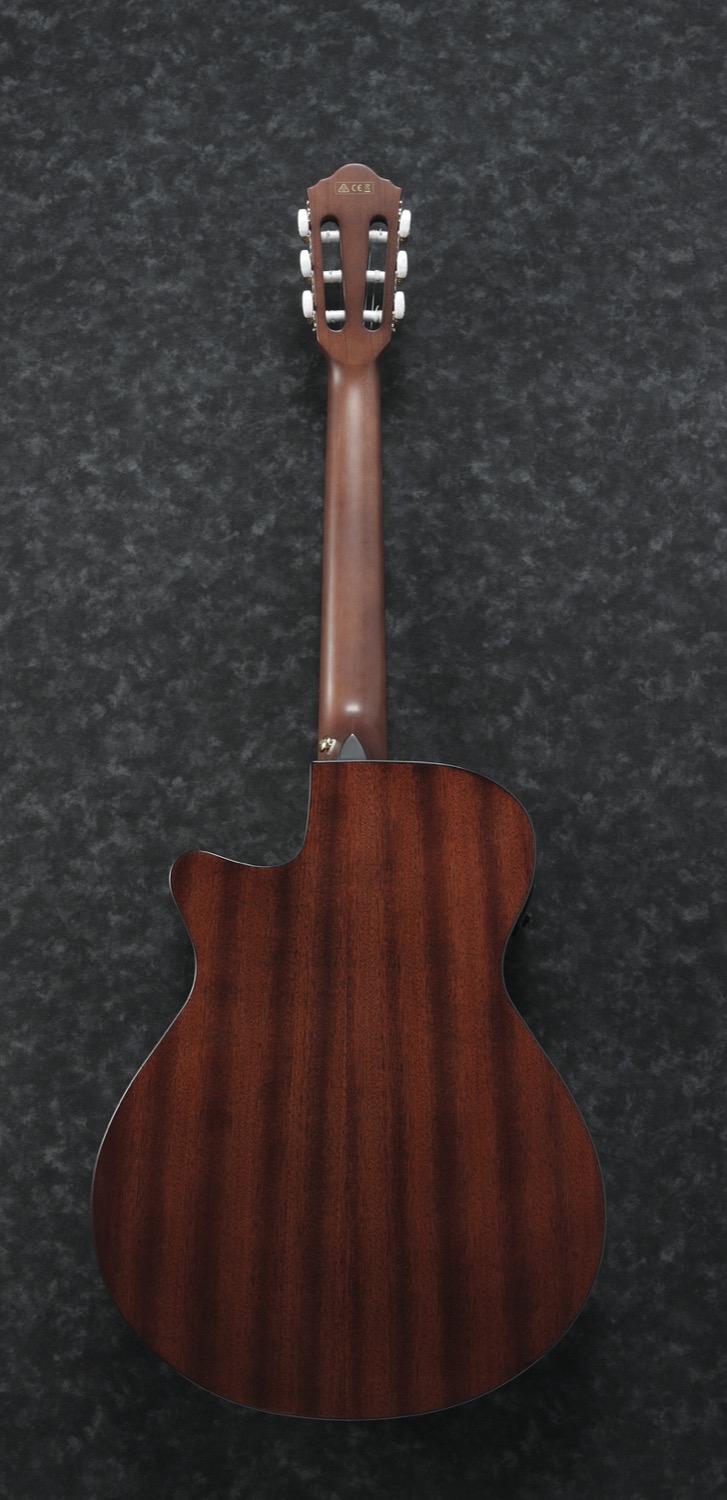 Ibanez AEG50N-NT - 5