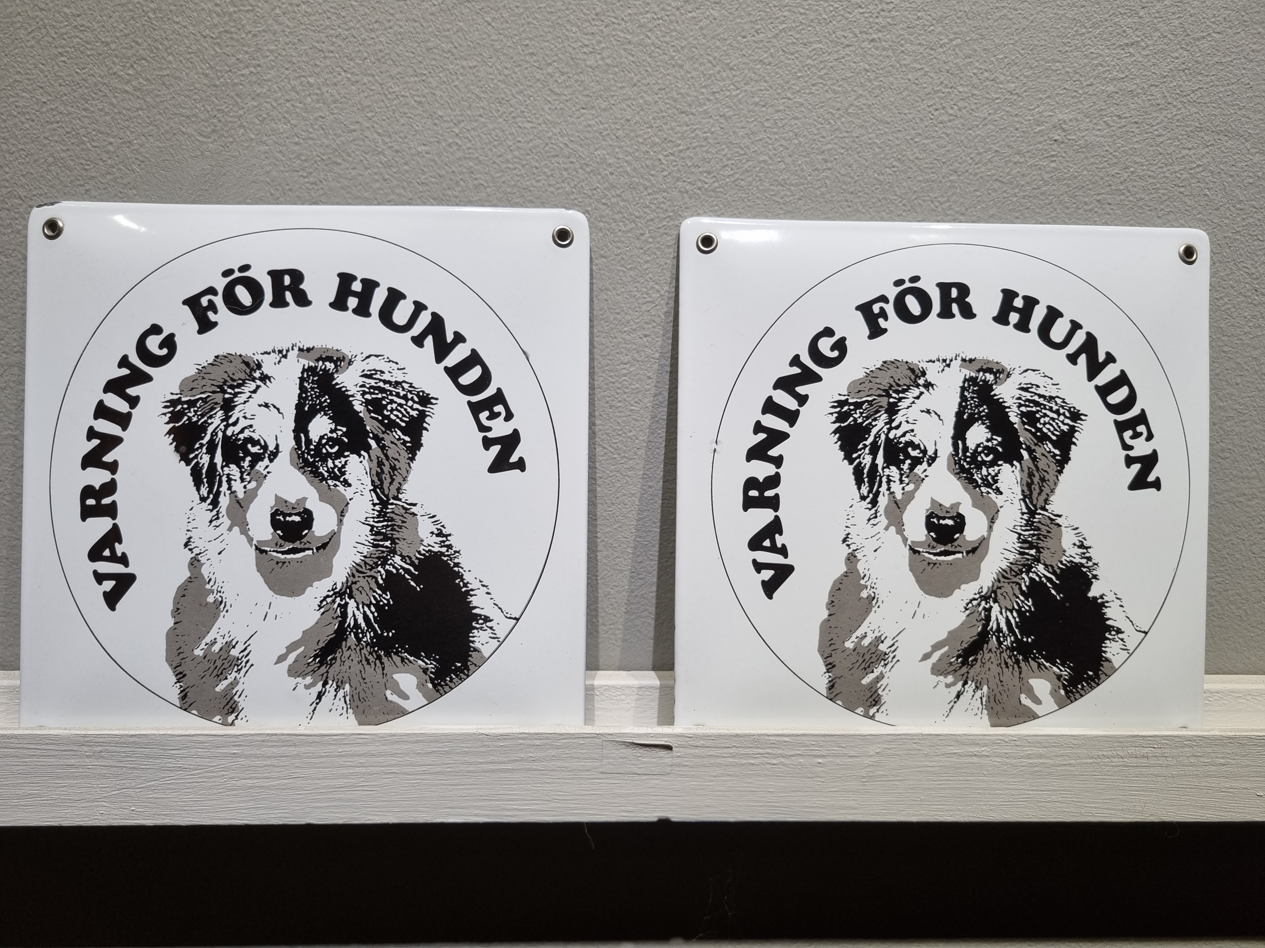 Varning för hunden med bild