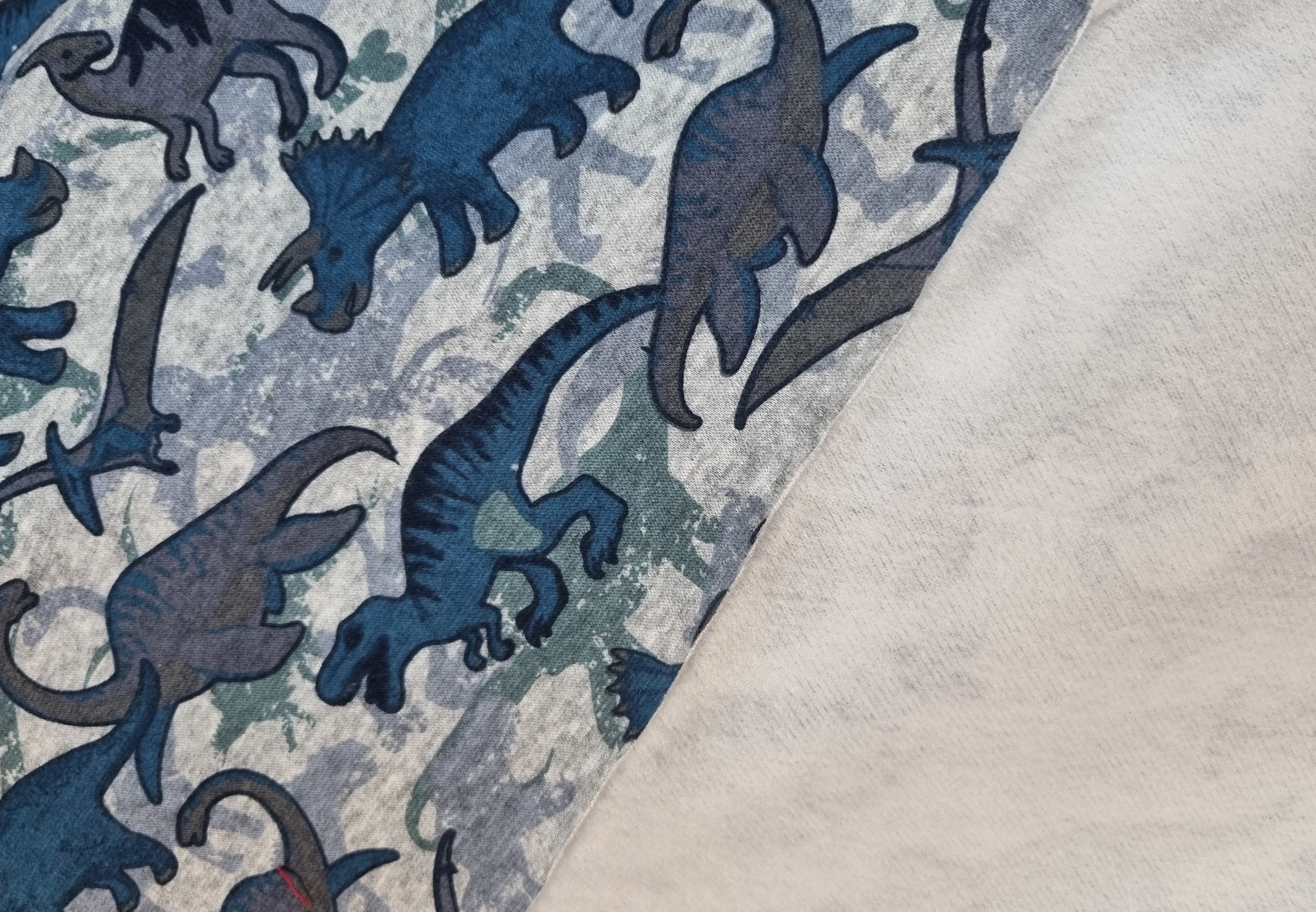 DINO FLEECE COLLEGE  - 4