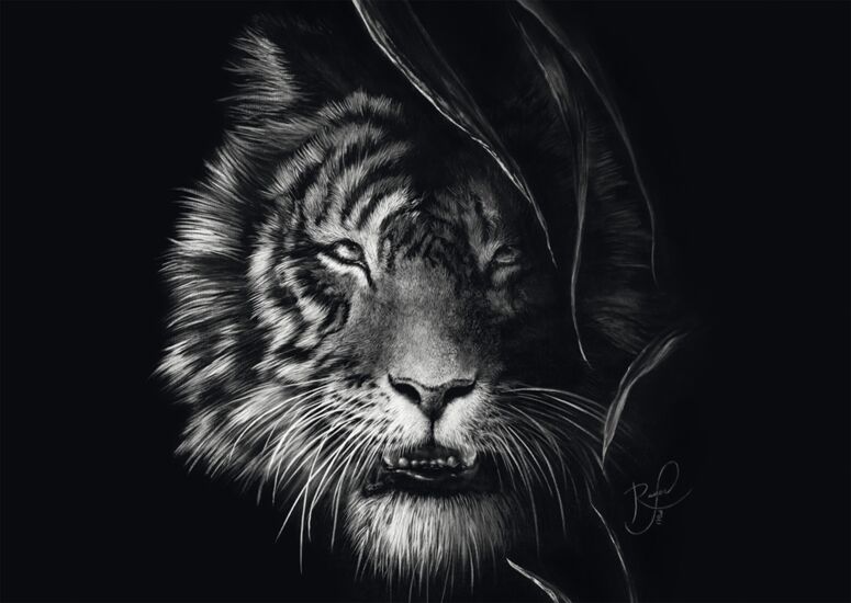 Tiger the Epitom of Freedom 1000 Bitar Schmidt