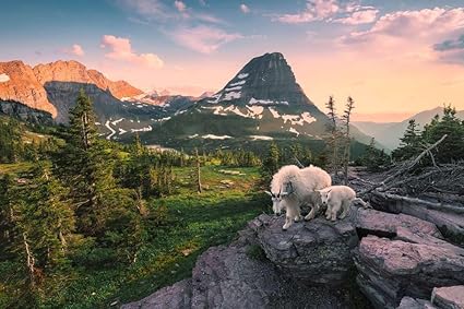 Alpine Goat with Baby 3000 Bitar Ravensburger