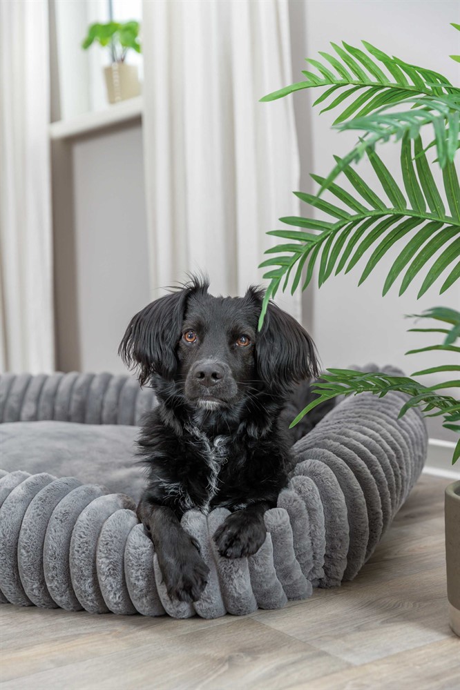 Trixie Lonni Hundbädd, Grå - 5