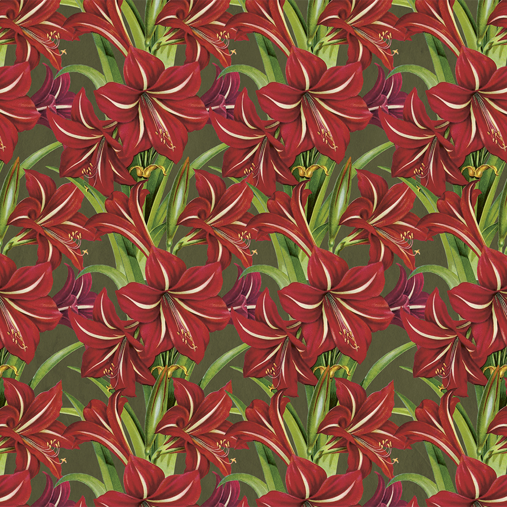 Röda julblommor