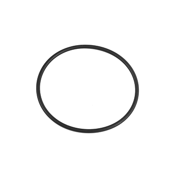 Sealing ring