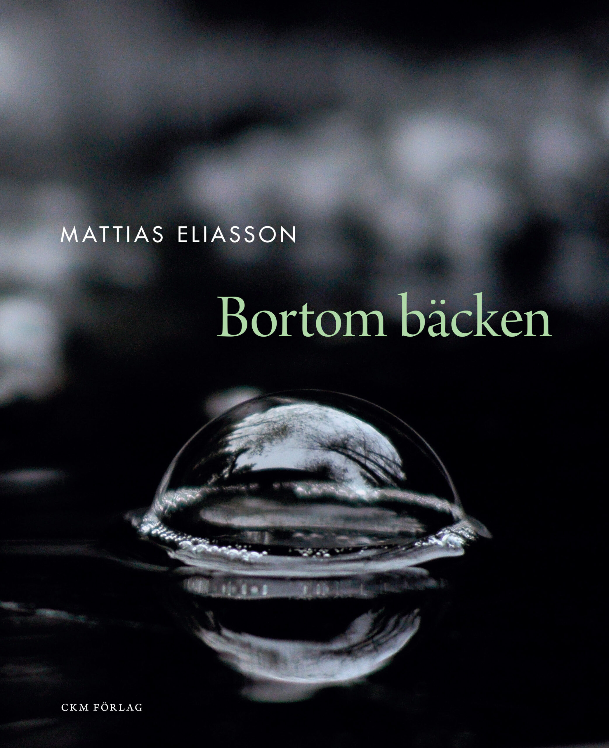 Mattias Eliasson - Bortom bäcken