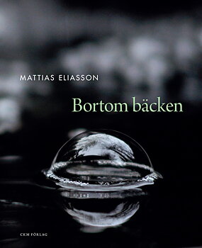 Mattias Eliasson - Bortom bäcken