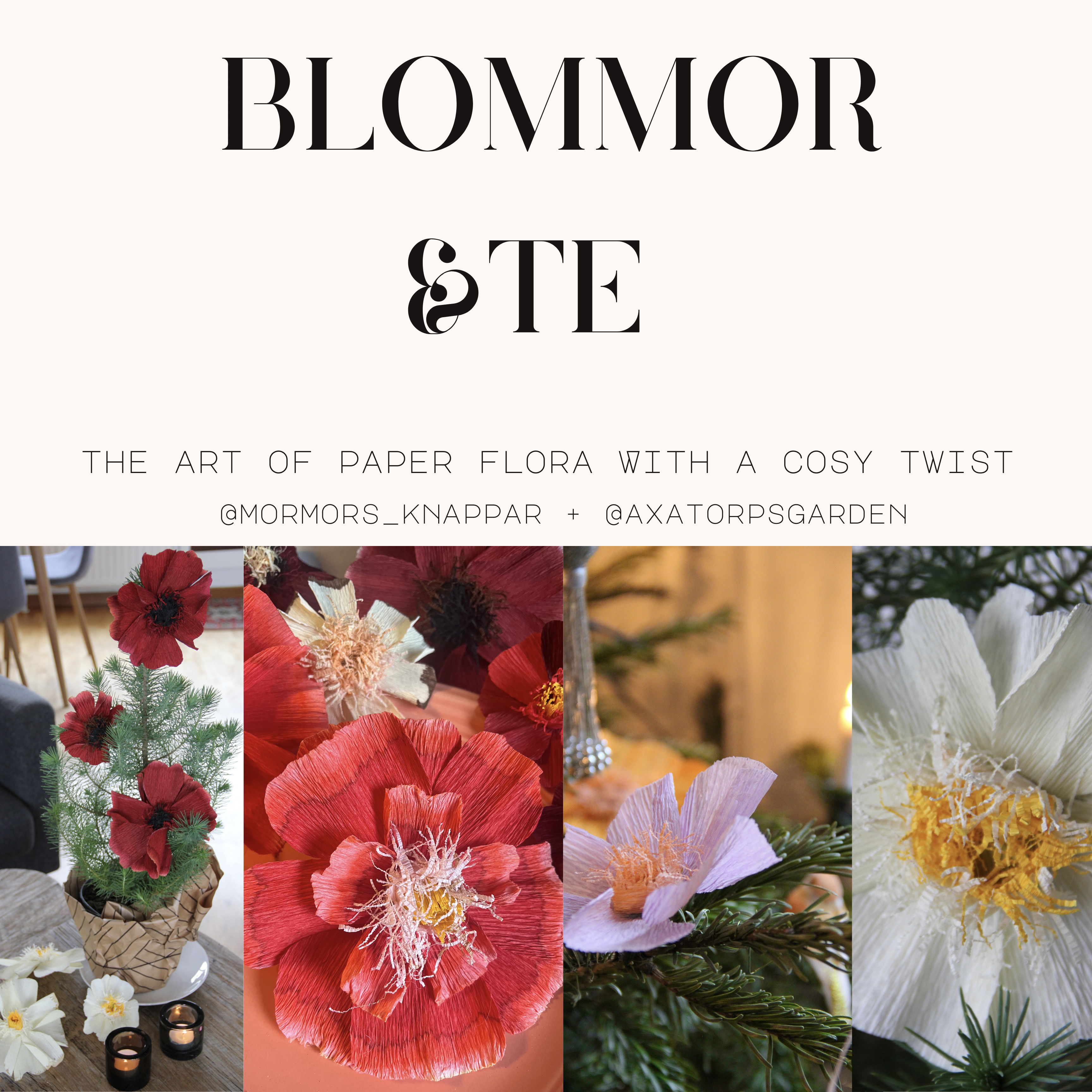 Workshop på Axatorpsgården 8/12