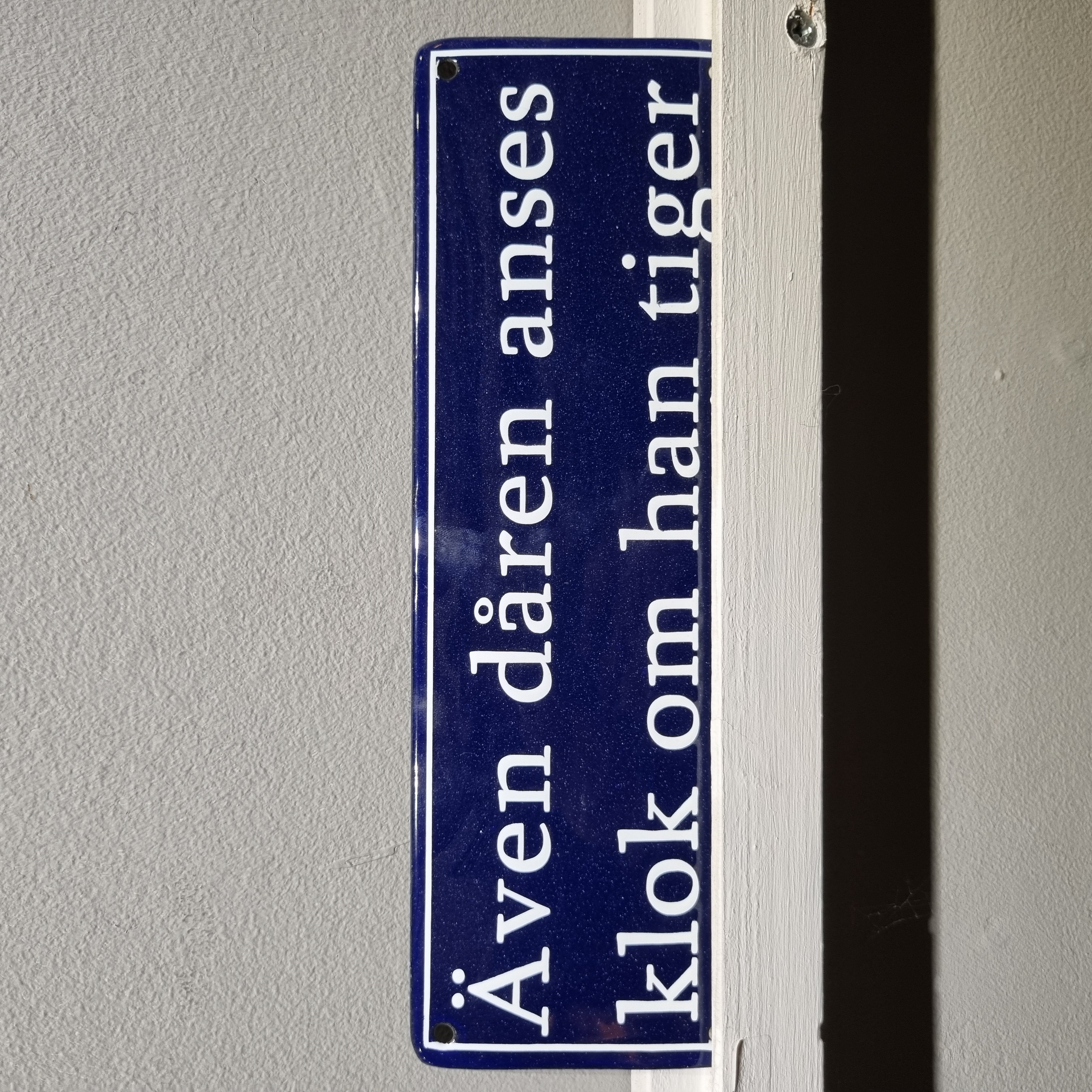 Tyhmääkin pidetään viisaana, jos hän on hiljaa - lainaus