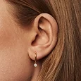 Petite Sparkling hoops, Guld- Sparv