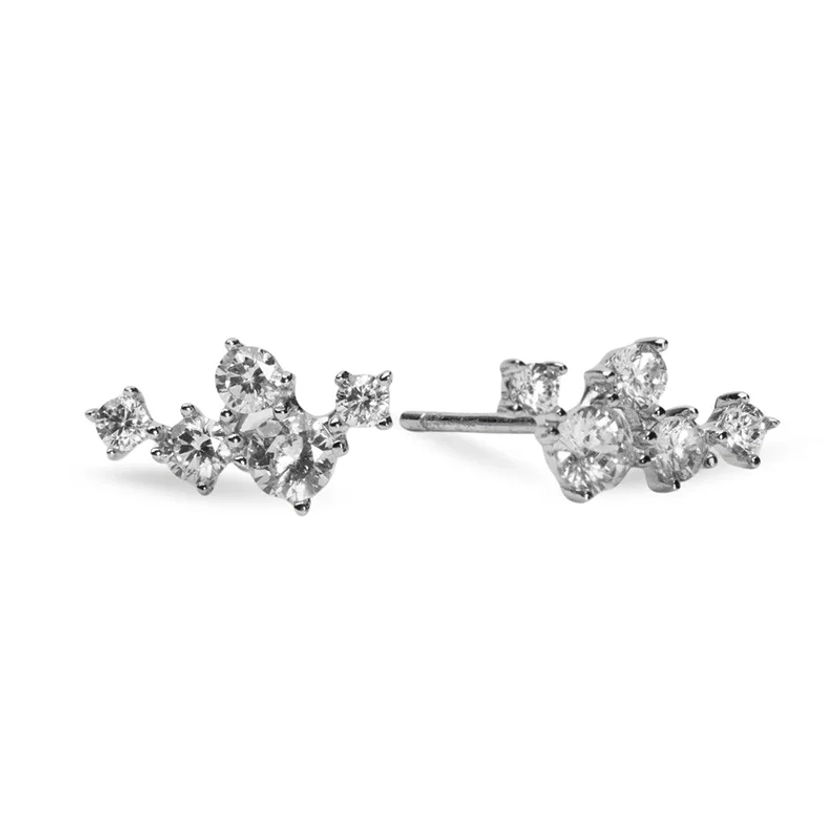 Twinkle Örhängen, Silver- Sparv