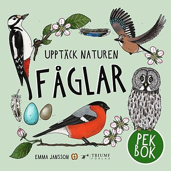 Pekbok som lär barn om fåglar