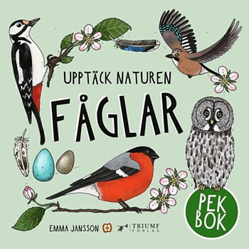 Pekbok som lär barn om fåglar