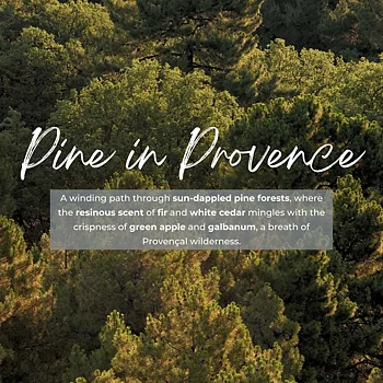 Durance Pine in Provence Doftpinnar 100ml