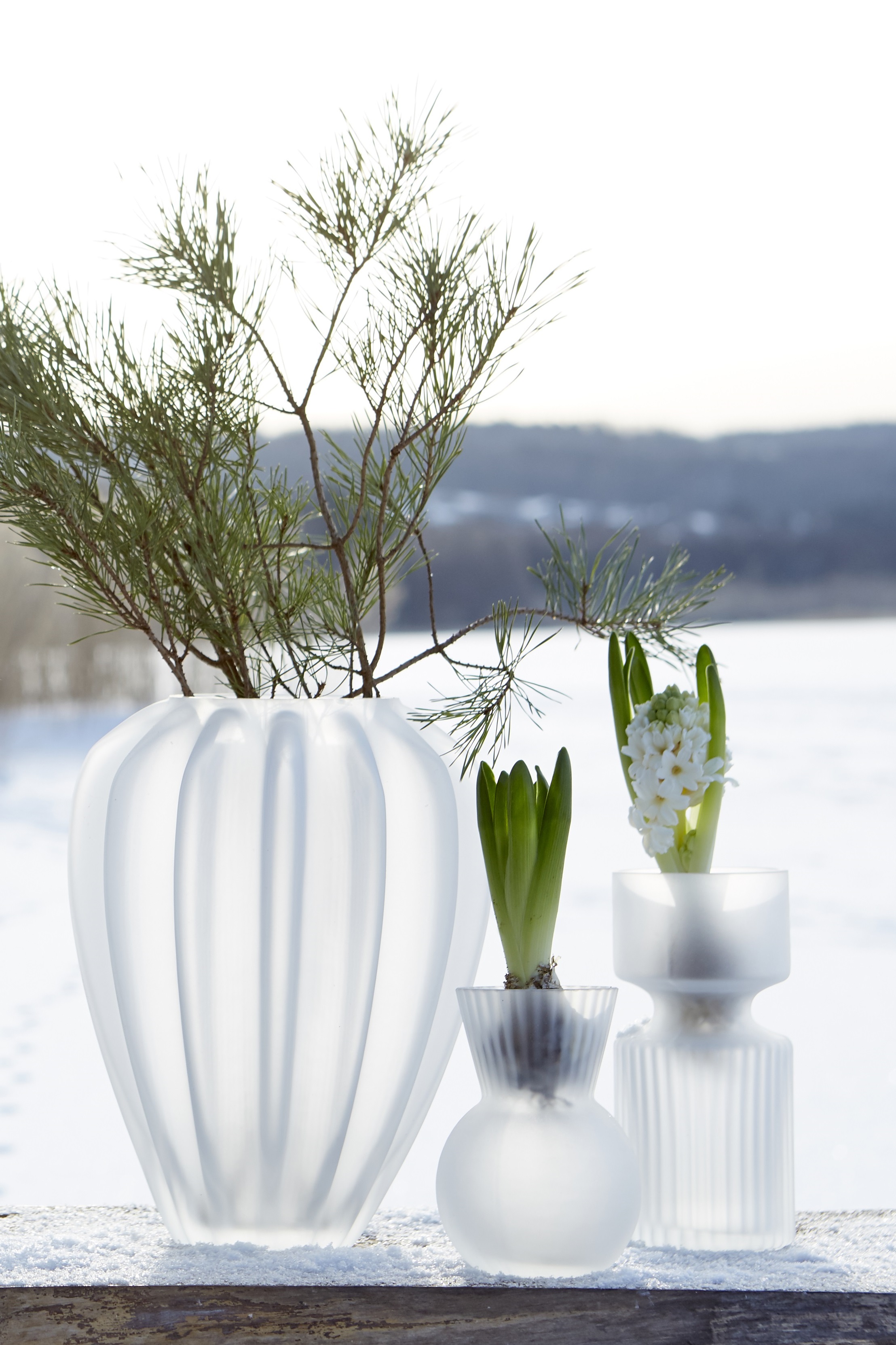 Hyacinth vase - Onion vase - Glass vase - Frost - 9x14 cm - Round - 5