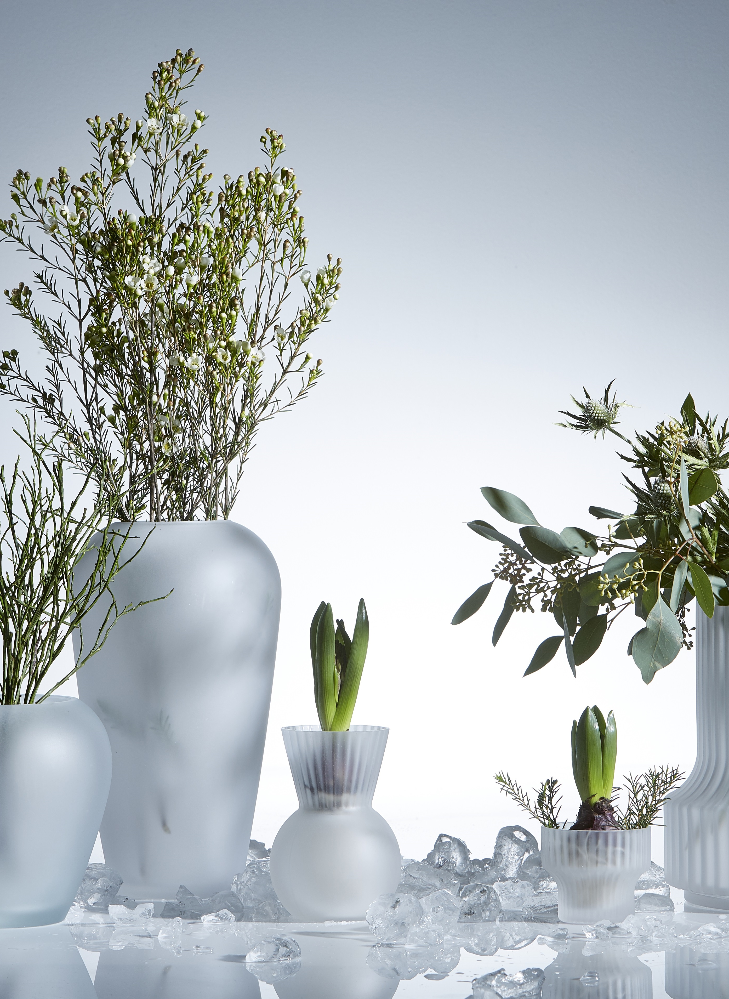 Hyacinth vase - Onion vase - Glass vase - Frost - 9x14 cm - Round - 2